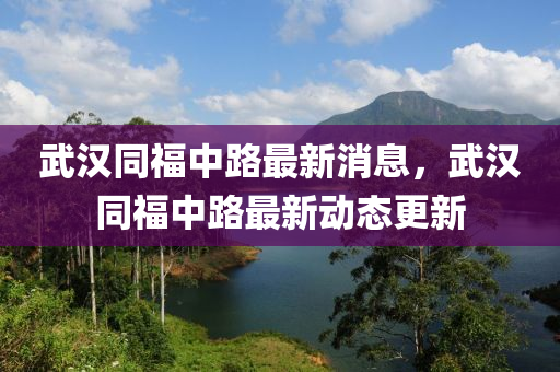 武漢同福中路最新消息，武漢同福中路最新動態(tài)更新山東水清源環(huán)?？萍加邢薰? class=