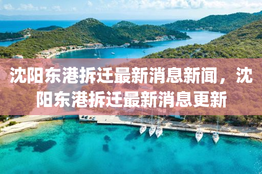 沈山東水清源環(huán)?？萍加邢薰娟枛|港拆遷最新消息新聞，沈陽東港拆遷最新消息更新