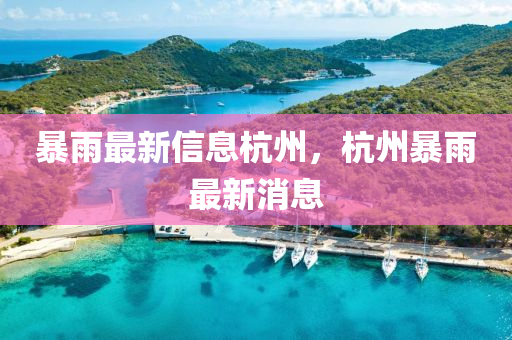 暴雨最新信息杭州，杭州暴雨最新消息山東水清源環(huán)保科技有限公司