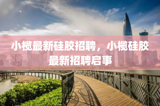 小欖最新硅膠招聘，小欖硅膠最新招聘啟事山東水清源環(huán)保科技有限公司
