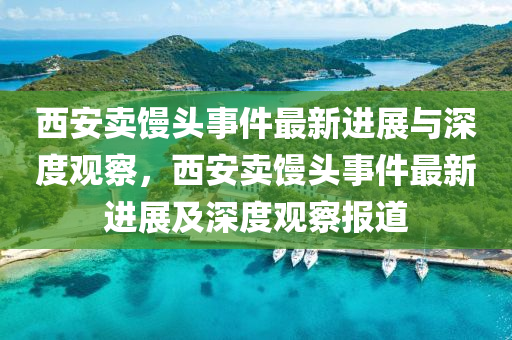 西安賣饅頭事件最新進山東水清源環(huán)?？萍加邢薰菊古c深度觀察，西安賣饅頭事件最新進展及深度觀察報道