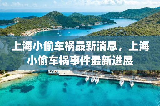 上海小山東水清源環(huán)?？萍加邢薰就弟嚨溩钚孪?，上海小偷車禍?zhǔn)录钚逻M(jìn)展