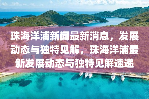 珠海洋浦新聞最新消息，發(fā)展動態(tài)與獨(dú)特見解，珠海洋浦最新發(fā)展動態(tài)與獨(dú)特見解速遞山東水清源環(huán)?？萍加邢薰? class=