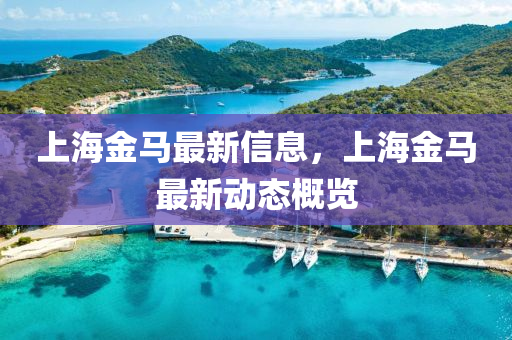 上海金馬最新信息，上海金馬最新動(dòng)態(tài)概覽山東水清源環(huán)?？萍加邢薰? class=