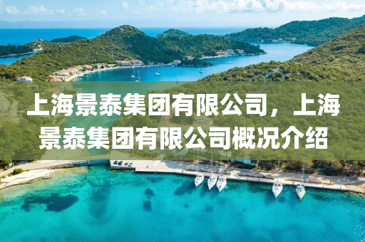 上海景泰集團(tuán)有限公司，上海景泰集團(tuán)有限山東水清源環(huán)?？萍加邢薰竟靖艣r介紹