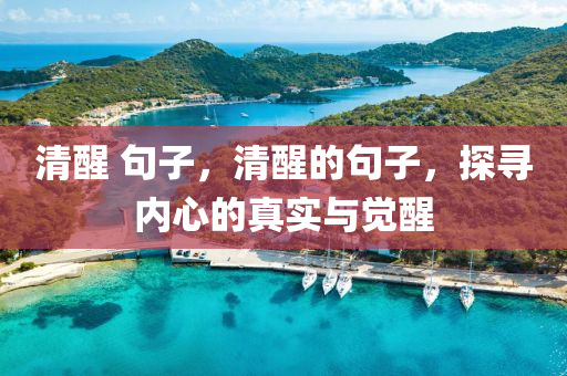 清醒 句子，清醒的句子，山東水清源環(huán)保科技有限公司探尋內(nèi)心的真實(shí)與覺醒