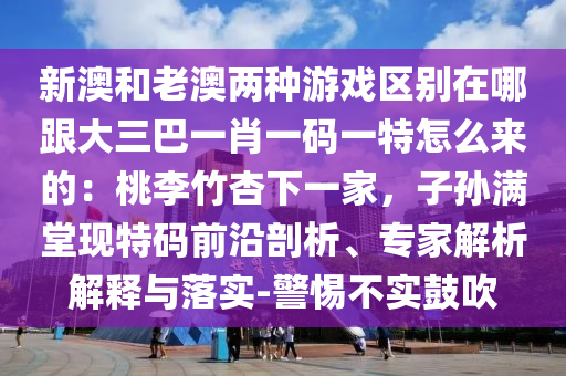 新澳和老澳兩種游戲區(qū)別在哪跟大三巴一肖一碼一特怎么來(lái)的：桃李竹杏下一家，子孫滿堂現(xiàn)特碼前沿剖析、專家解析解釋與落實(shí)-警惕不實(shí)鼓吹