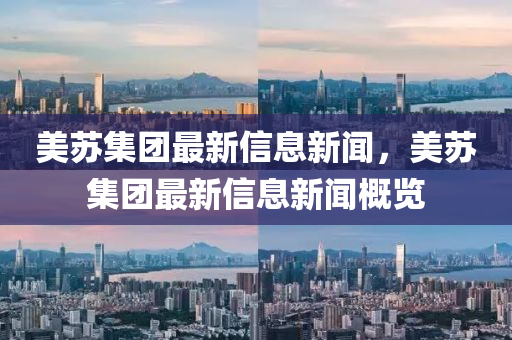 美蘇集團最新信息新聞，美蘇集團最新信息新聞概覽