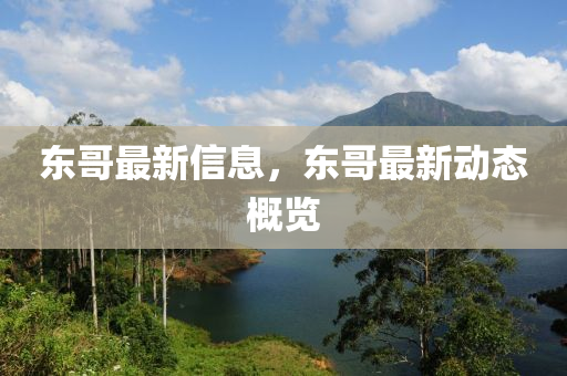 東哥最新信息，東哥最新動(dòng)態(tài)概覽