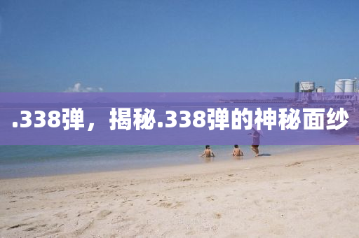 .338彈，揭秘.338彈的神秘面紗