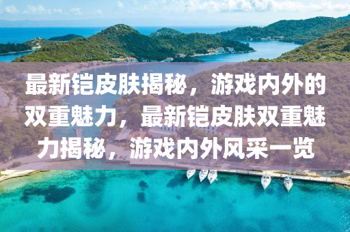 最新鎧皮膚揭秘，游戲內(nèi)外的雙重魅力，最新鎧皮膚雙重魅力揭秘，游戲內(nèi)外風(fēng)采一覽