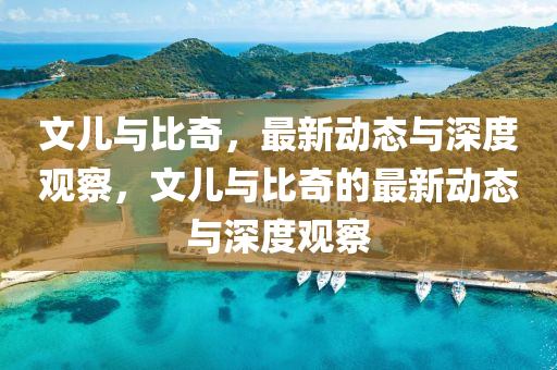 文兒與比奇，最新動態(tài)與深度觀察，文兒與比奇的最新動態(tài)與深度觀察