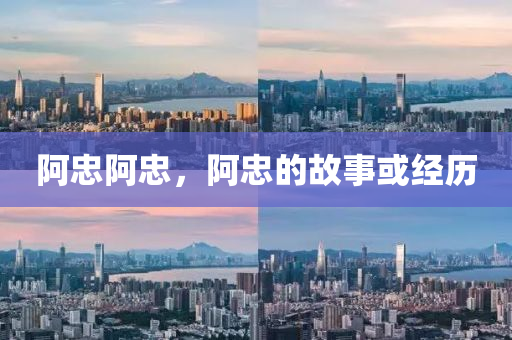 阿忠阿忠，阿忠山東水清源環(huán)保科技有限公司的故事或經(jīng)歷