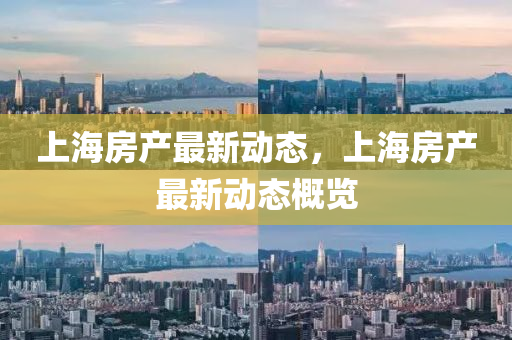 上海房產最新動態(tài)山東水清源環(huán)?？萍加邢薰?，上海房產最新動態(tài)概覽